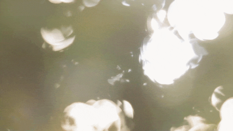 My image file description