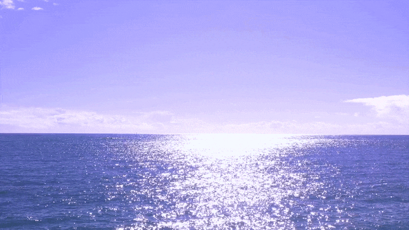 My image file description