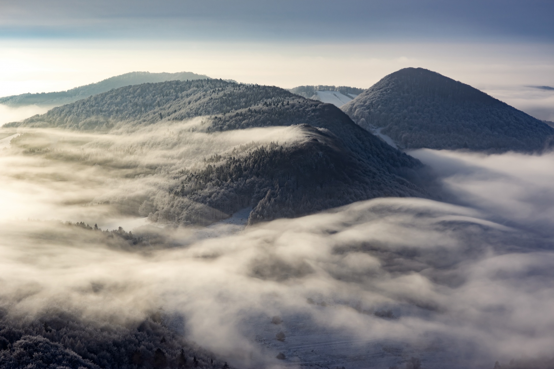 Description of the image